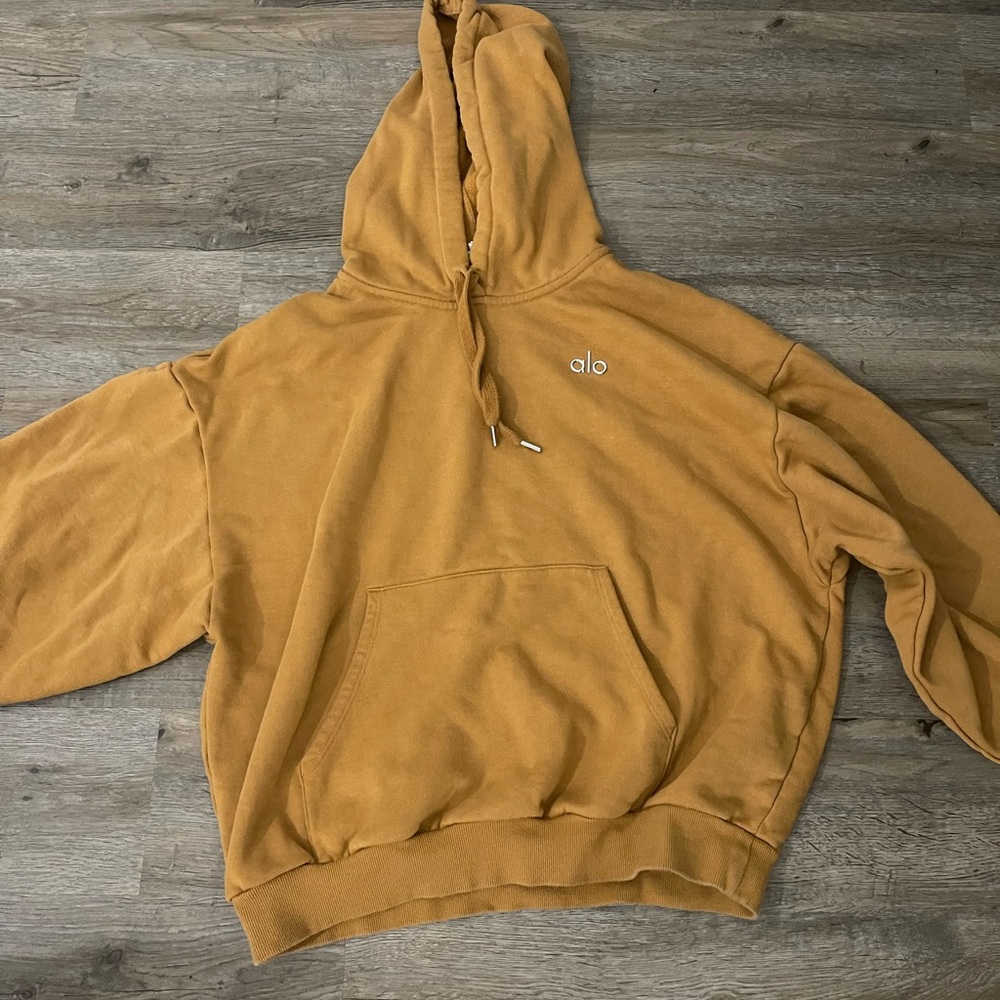 Alo Accolade Hoodie